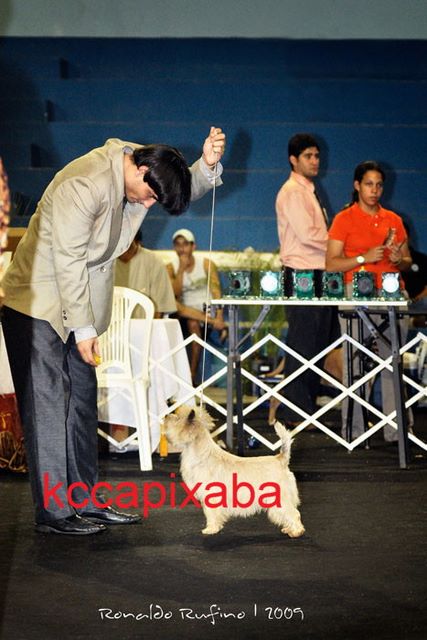 Clique sobre a foto para fechar